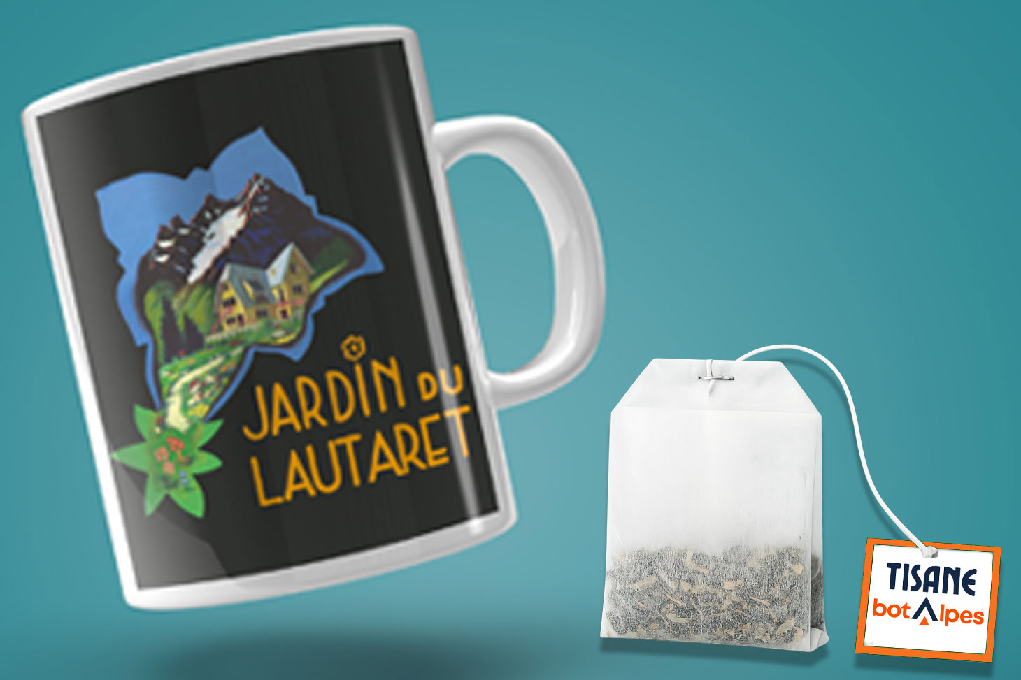 Conférence Tisane Botalpes sur le jardin du Lautaret